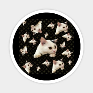 cat pattern Magnet